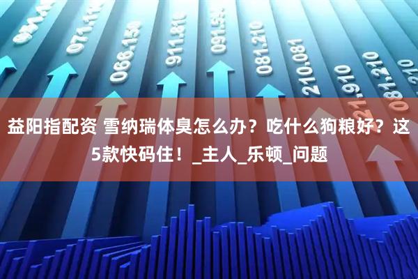 益阳指配资 雪纳瑞体臭怎么办？吃什么狗粮好？这5款快码住！_主人_乐顿_问题