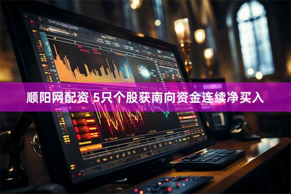顺阳网配资 5只个股获南向资金连续净买入
